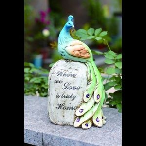 NWT Peacock on stone indoors outdoors P4623